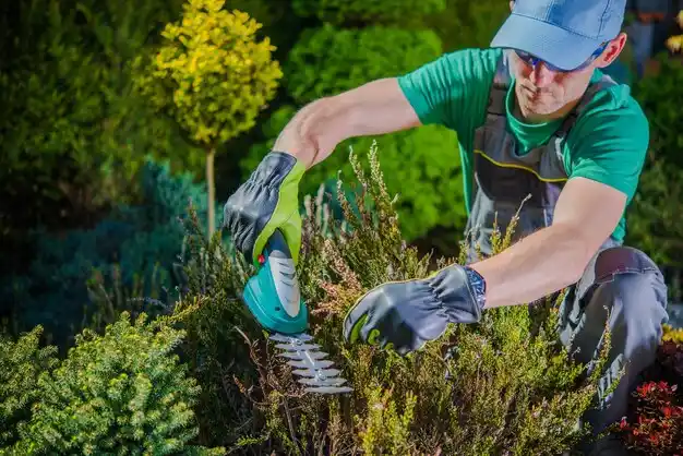 landscaping services Tekonsha